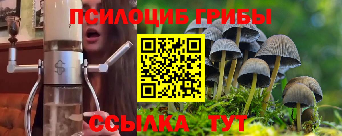Галлюциногенные грибы MAGIC MUSHROOMS  Вход с VPN  Воркута  Псилоцибиновые грибы мухоморы 